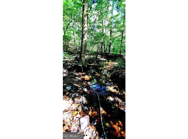52 Grizzley, Ranger, GA 30734