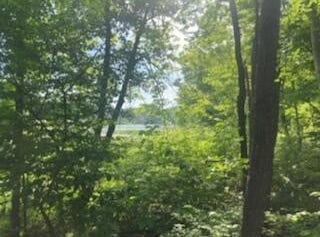 Garr Road, Berrien Springs, MI 49103