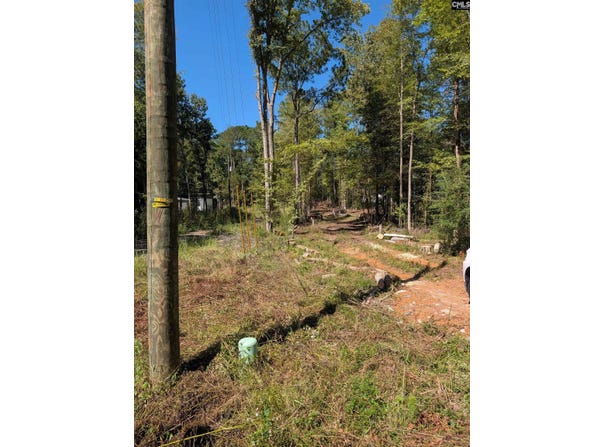 1107 Hopewell Church Road, Irmo, SC 29063