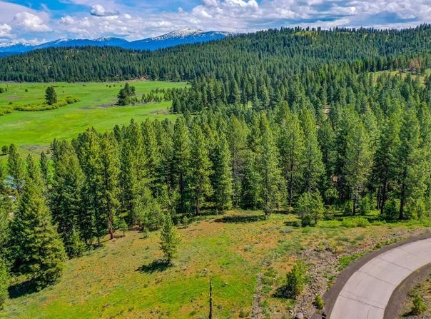 Tamarack View Drive, New Meadows, ID 83654