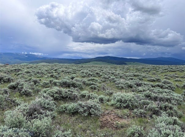 Tract 35 Monte Drive, Wisdom, MT 59761