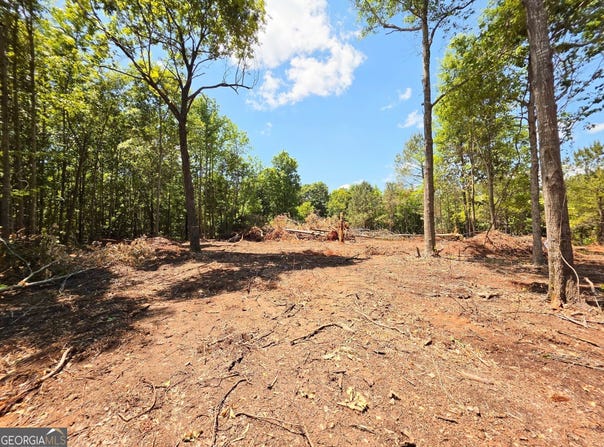 148 Berry Road lot: 12A, Barnesville, GA 30204