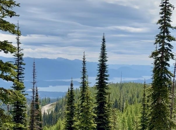 L3 B2 Tall Timber, Sandpoint, ID 83864