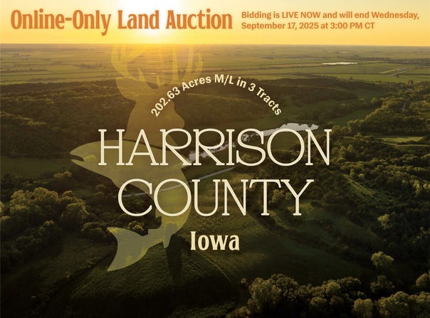 Locust Avenue, IA 51555