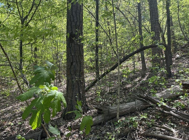 0 Hide Away Drive, Guntersville, AL 35976