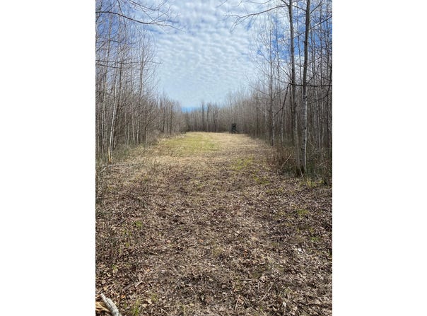 COUNTY ROAD 79, Littlefork, MN 56649