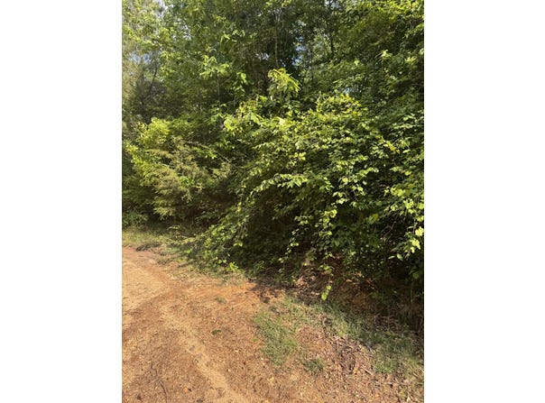 100 Bryant Ln, Magee, MS 39111