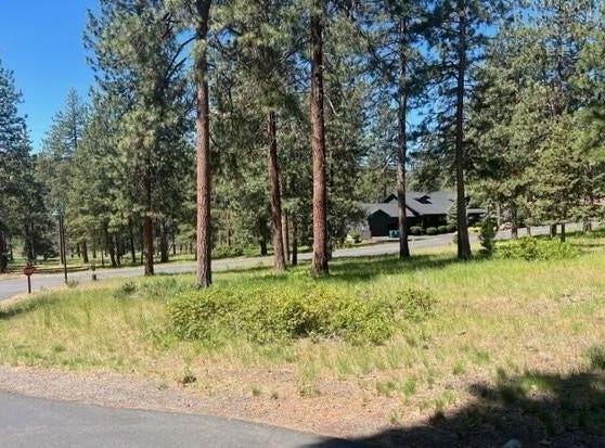 Merganser Road, Klamath Falls, OR 97601