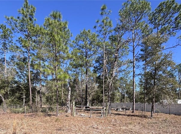 NE 3RD PLACE, WILLISTON, FL 32696
