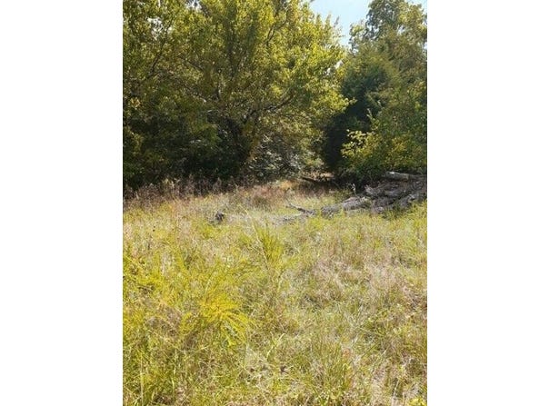 Lot 16 Apple Lane, Cynthiana, KY 41031