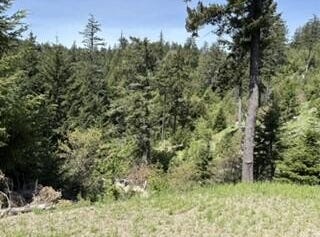 12350 Forest Service Rt 1 Road, Kneeland, CA 95549