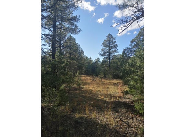 Yucca Drive lot: 15, Ramah, NM 87321