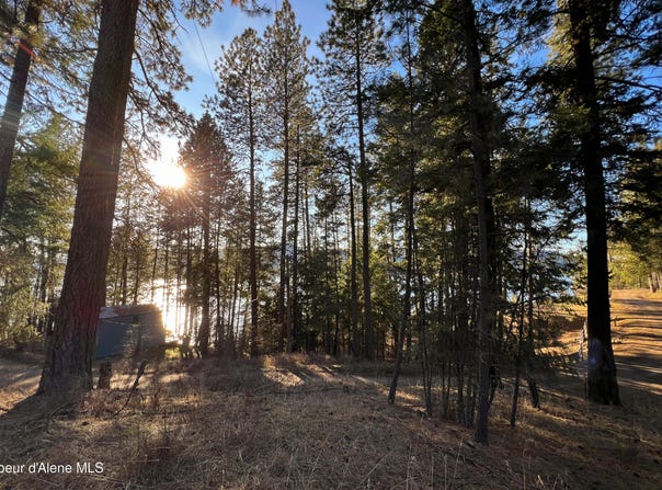 Nna BENEWAH RD., Harrison, ID 83833