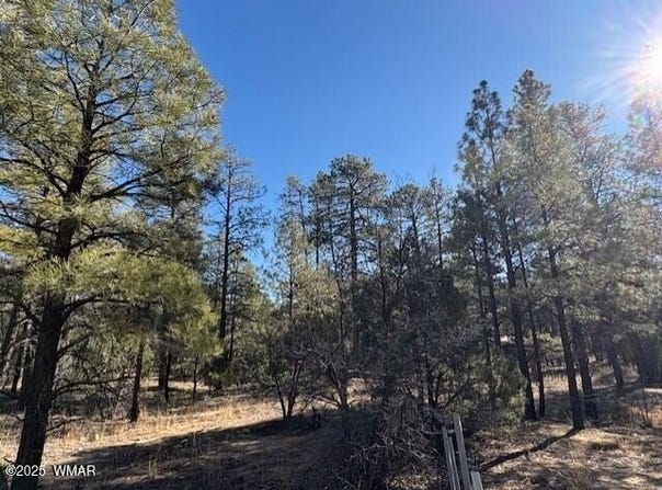 3290 W Black Oak Loop, Show Low, AZ 85901
