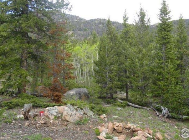 204 Sutiki Dr, Red Feather Lakes, CO 80545