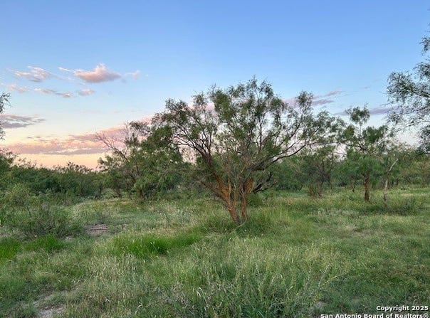 587 Valley Rd, Eldorado, TX 76936