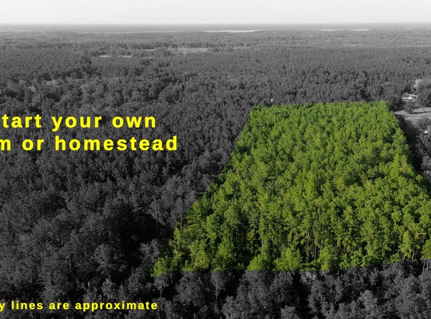 1062 Waverly Farms, Waverly, GA 31565