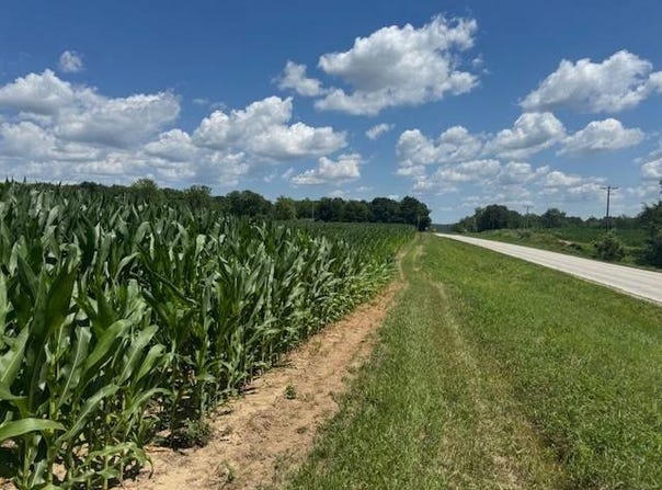 N SD Hwy 95, Smithfield, IL 61477