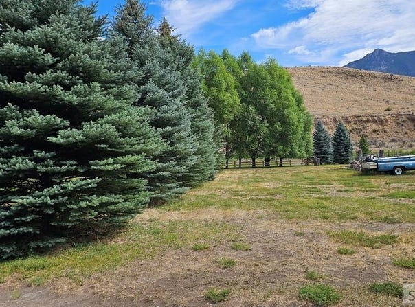 Lot 14 W Elkhorn Road, Salmon, ID 83467