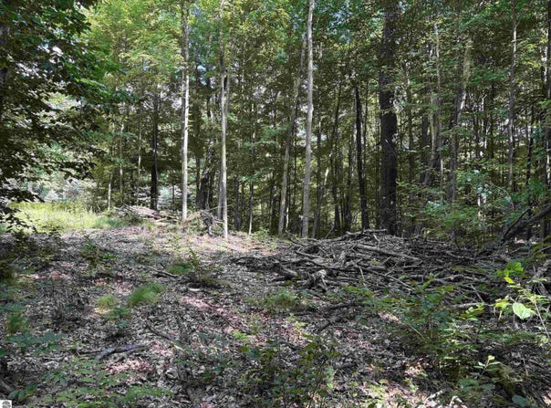 116 KNOLL ONE DRIVE, LEROY, MI 49655-9414