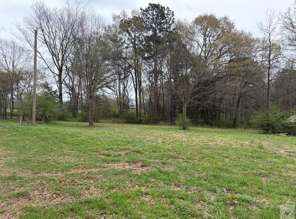 Stevens Dr., Marietta, TX 75566