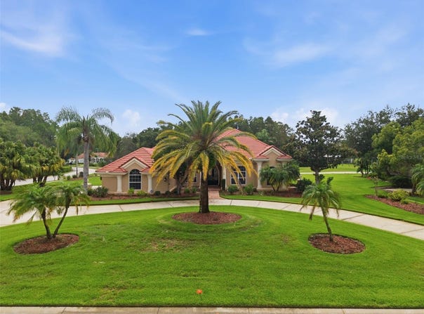 18655 AVENUE CAPRI, LUTZ, FL 33558