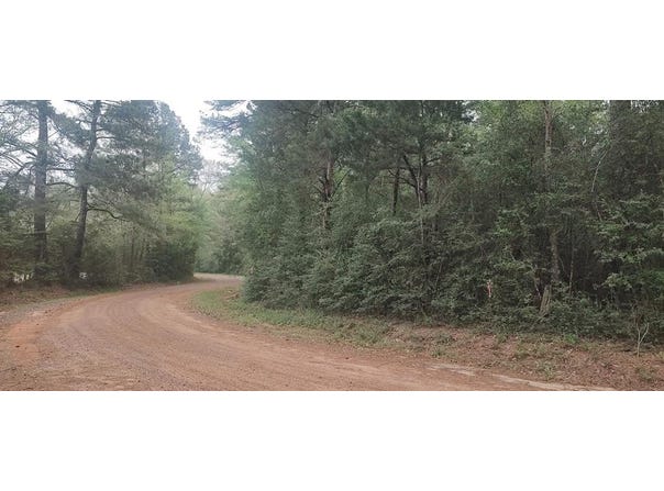 Tbd County Road 165, Long Branch, TX 75669
