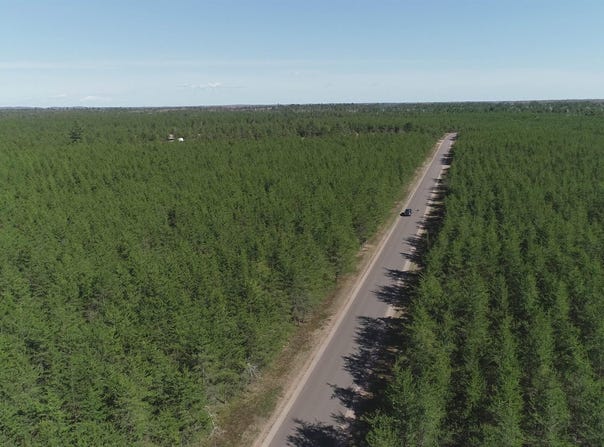 Parcel 3 Rice Lake, Gwinn, MI 49841