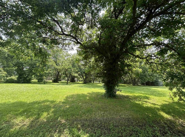 Lot 3 Block L, N Lowe St, Stuttgart, AR 72160