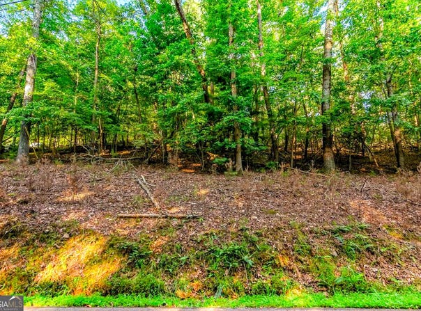 520 Villa, Ellijay, GA 30540