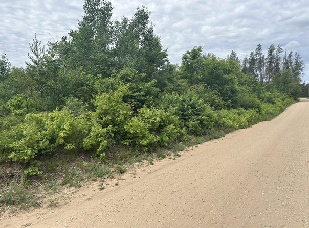 V/L E 38th Street, Idlewild, MI 49642