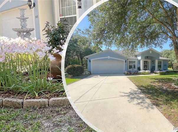 1923 W McNeal Drive, Citrus Springs, FL 34434