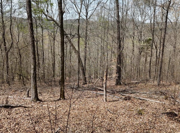 567 Geren Subdivision Lane, Decatur, TN 37322