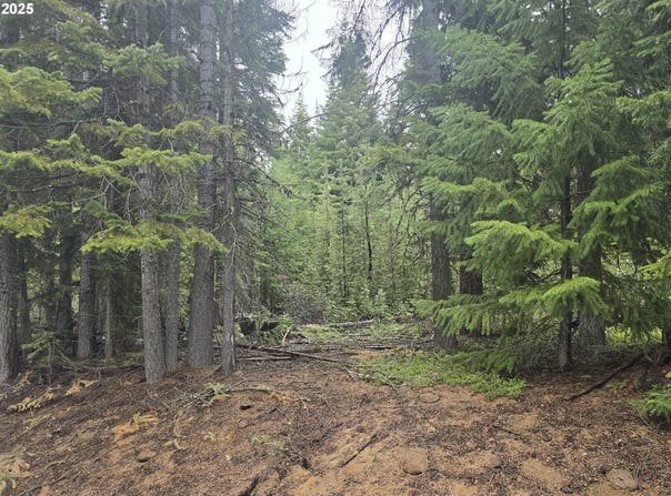 4 Royce Pine RD, Crescent Lake, OR 97733