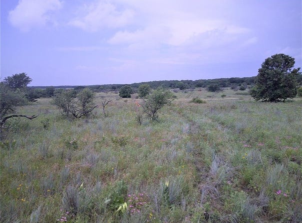 Tr 3 4 Wire, Bowie, TX 76230