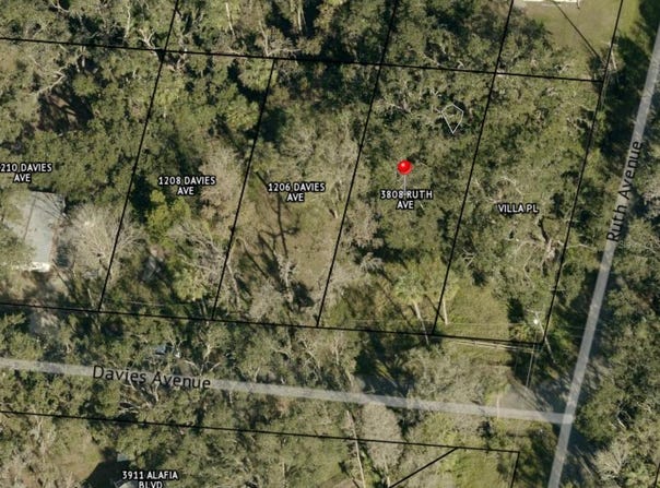 1204 DAVIES Road, BRANDON, FL 33511