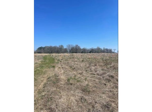 Holland Road, Hickory Plains, AR 72176