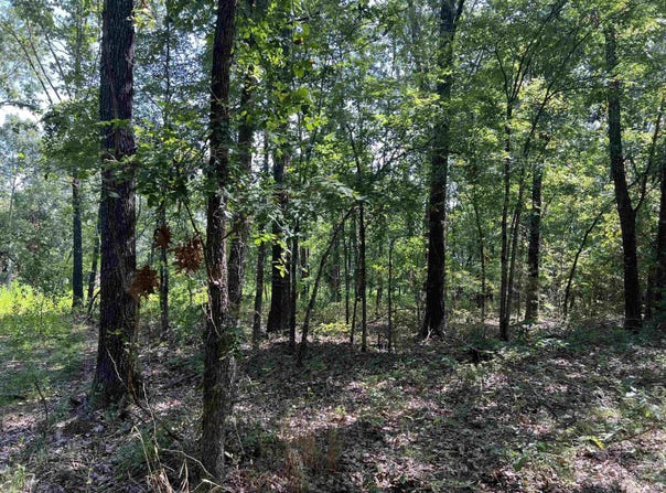 47 Cedar Creek Drive, Harrison, AR 72601