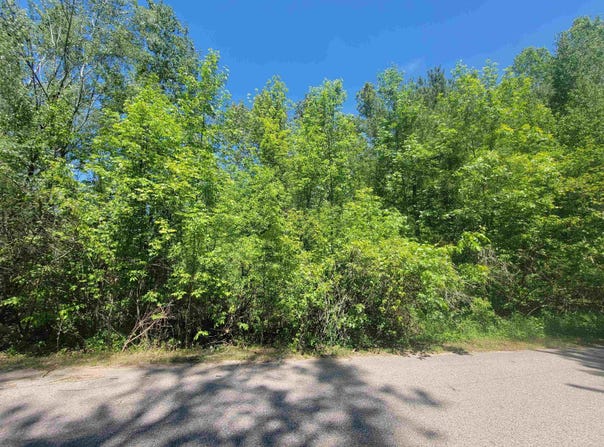 VL Maple Street, Gladwin, MI 48624