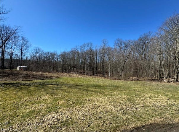 Buttonwood Lane, Ashtabula, OH 44004