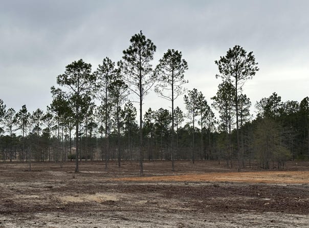 00/Lot5 Cooks Bridge Rd, Aiken, SC 29805