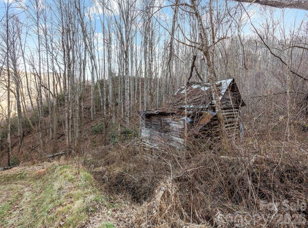 NC 209 Highway, Spring Creek, NC 28743