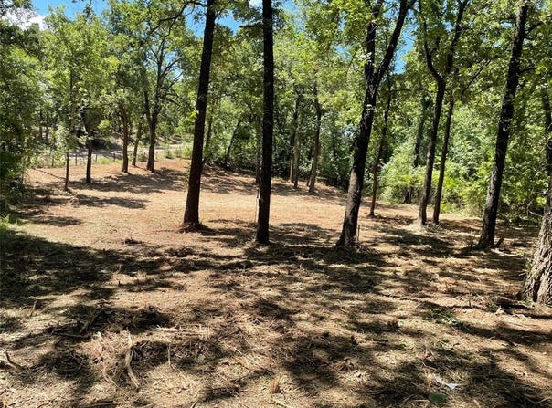 65 Alta Vista, Malakoff, TX 75148