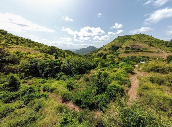 CARR 704, COAMO, 00769