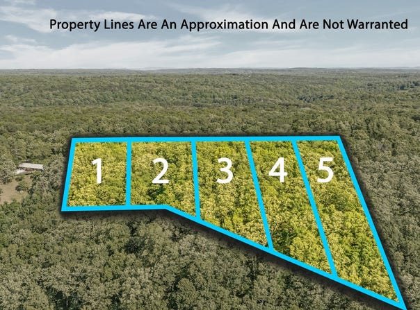 Tract 1 Scenic Highway Lot 5, Mentone, AL 35984