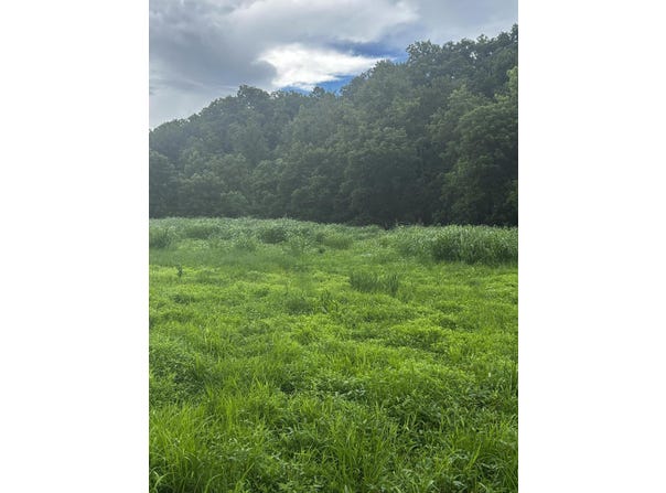 687 H M Garrison Rd, Manchester, KY 40962