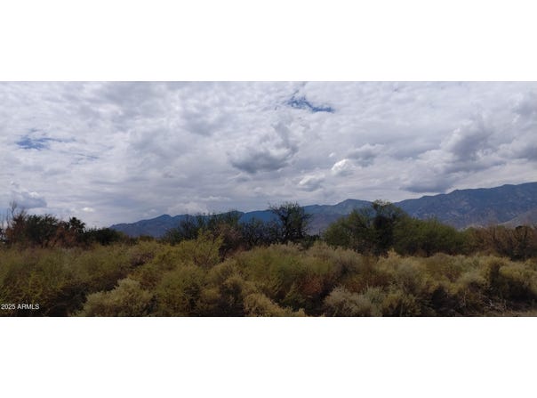 0000 W DOGGIE Drive, Swift Trail Junction, AZ 85546