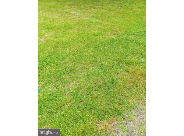 814 PARK LN, CAMBRIDGE, MD 21613