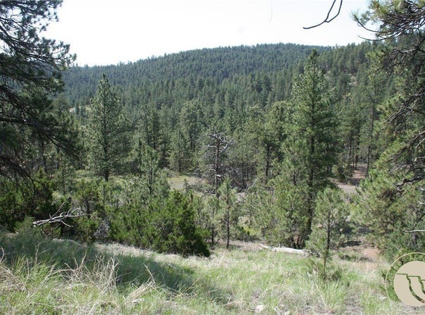 Lot 82 Cougar Trail, Reed Point, MT 59069