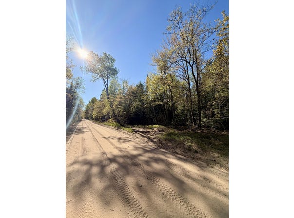 County Road 422, McMillan, MI 49853